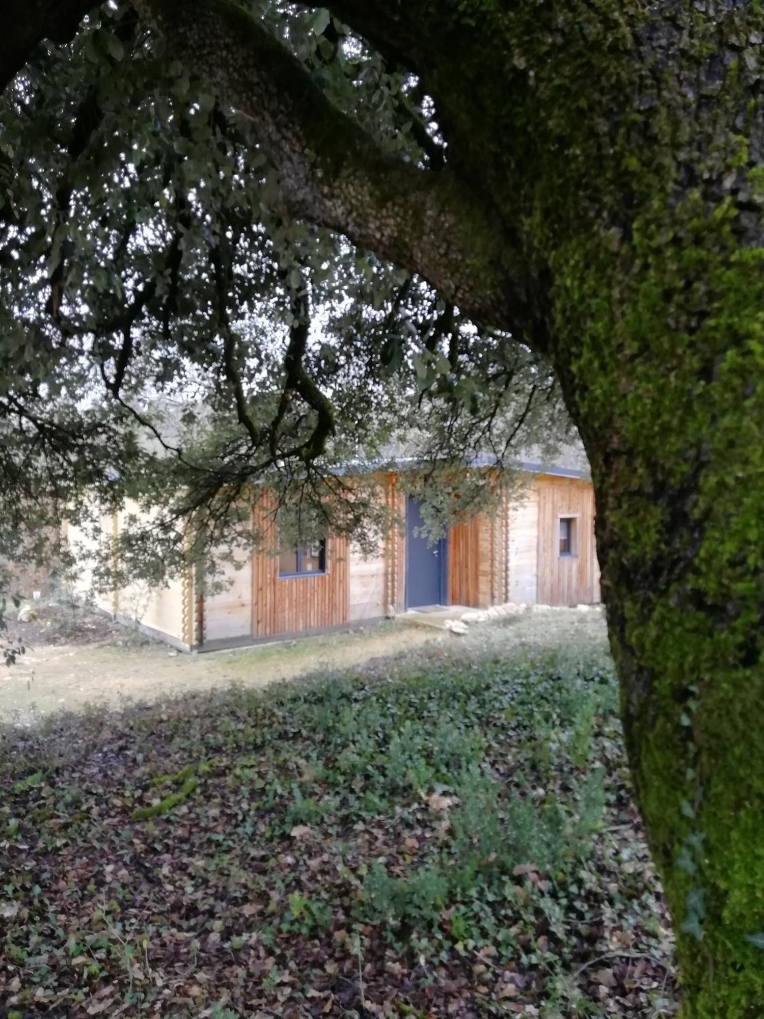 Gites Du Chene Vert Montignac-Lascaux Room photo